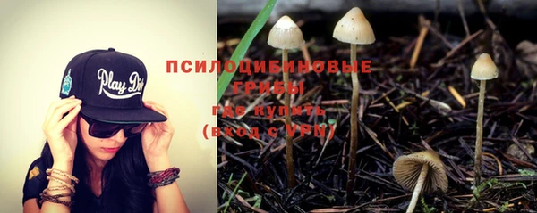 mdma Вяземский